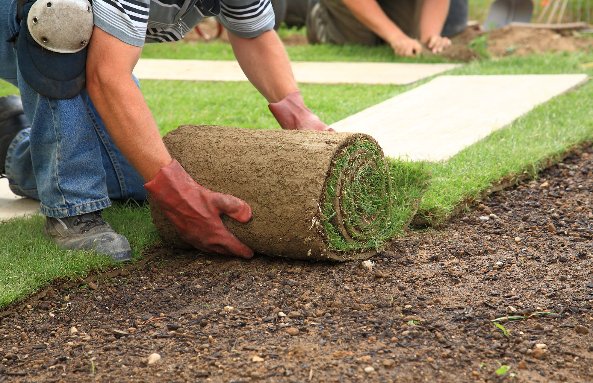 landscape gardener working outside