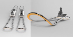 Adjustable Skis