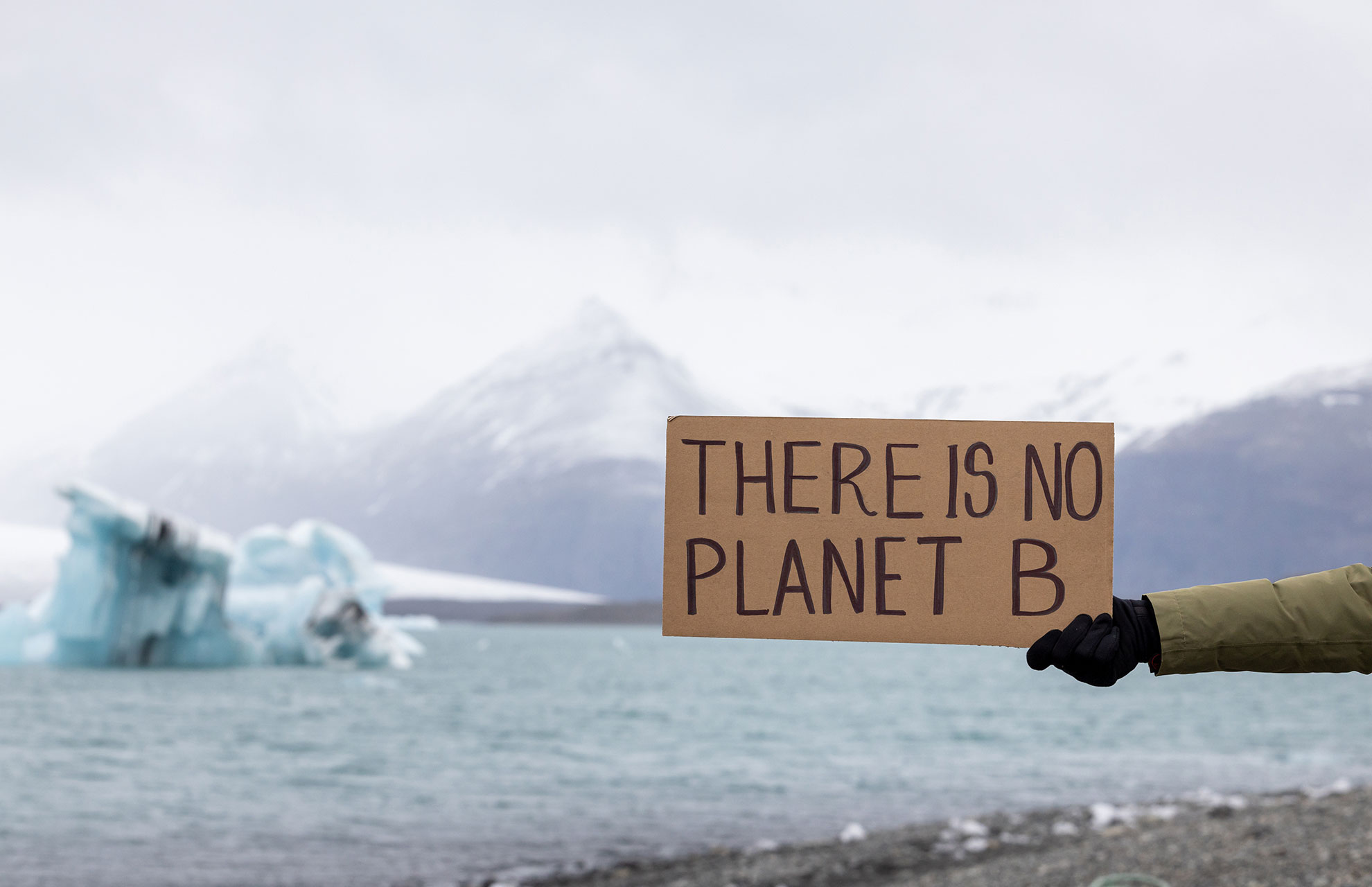 climate activism sign