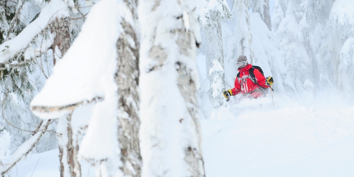 The big, off-piste directory: everything you need to know!